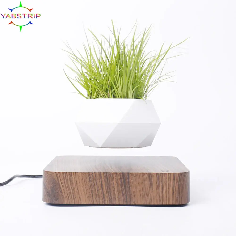 House Essential levitation Potted Plant Home Desk Décor